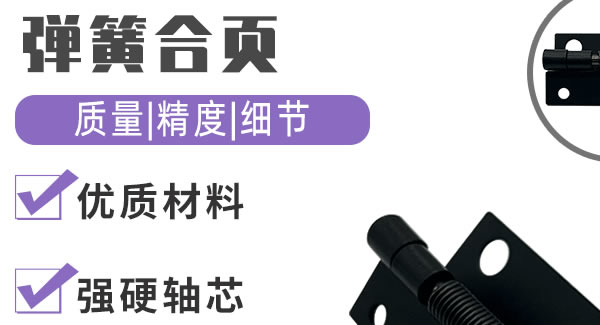 彈簧合頁(yè)，廣有制造|廣有五金&東莞合頁(yè)